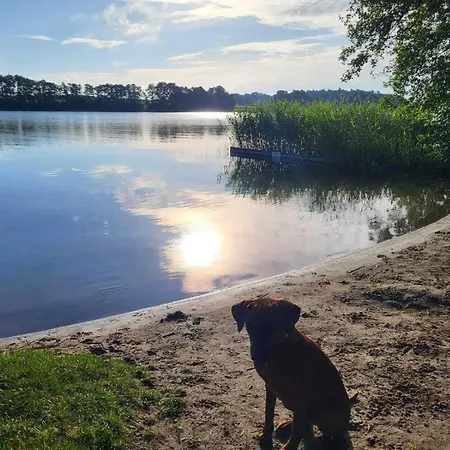 Bootsmann Plau am See